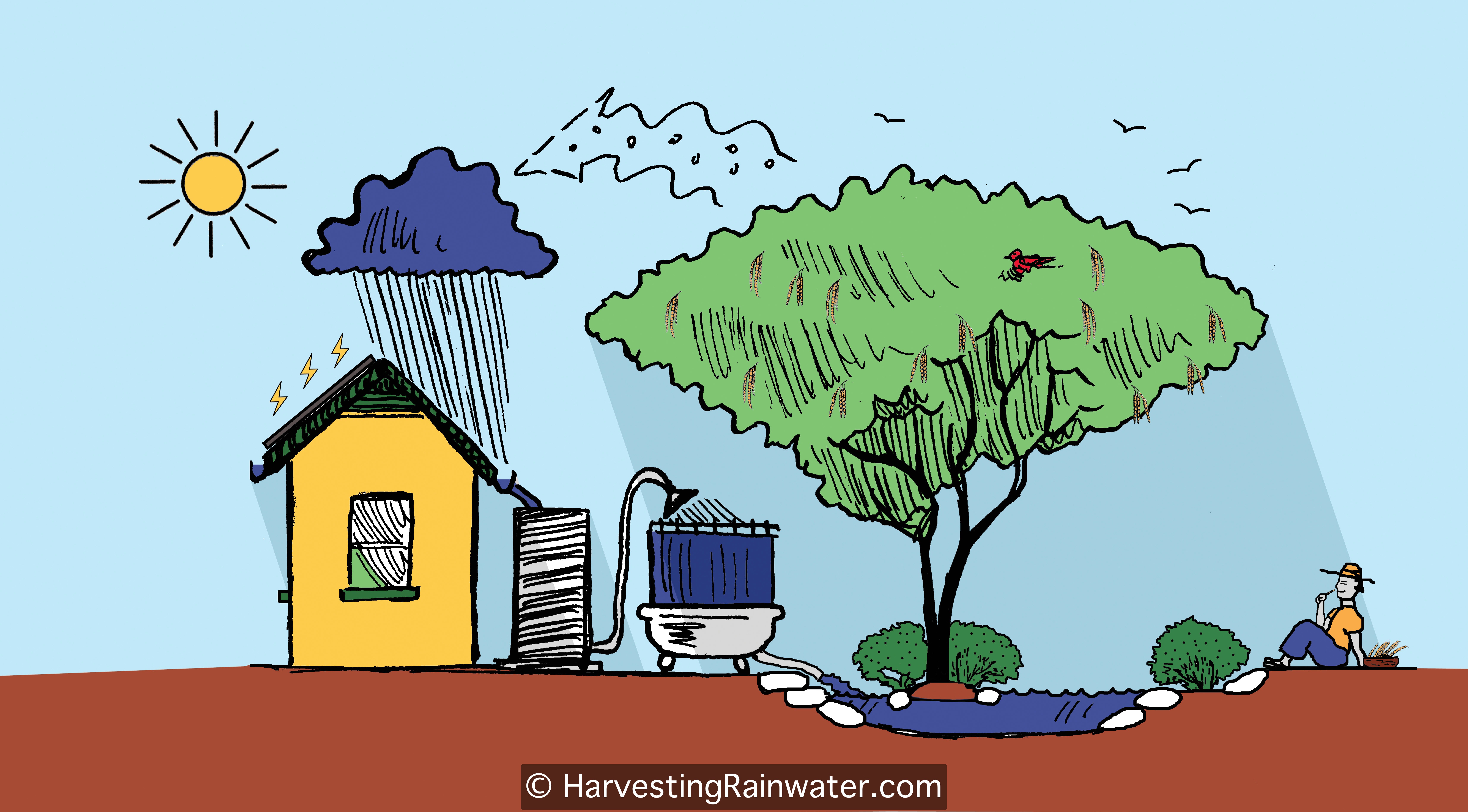 Rain water harvesting about 250 words